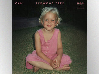 Cam soars with “Redwood Tree” on ‘Good Morning America’
