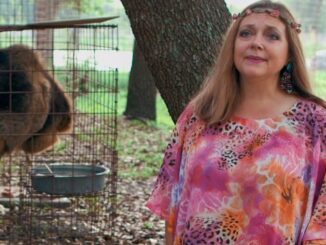 What’s up, cool cats and kittens? Kate McKinnon’s series as Joe Exotic nemesis Carole Baskin gets green light