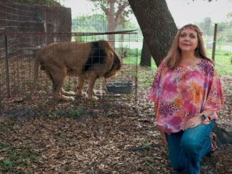 Carole Baskin reportedly in talks to join ‘Dancing With The Stars’